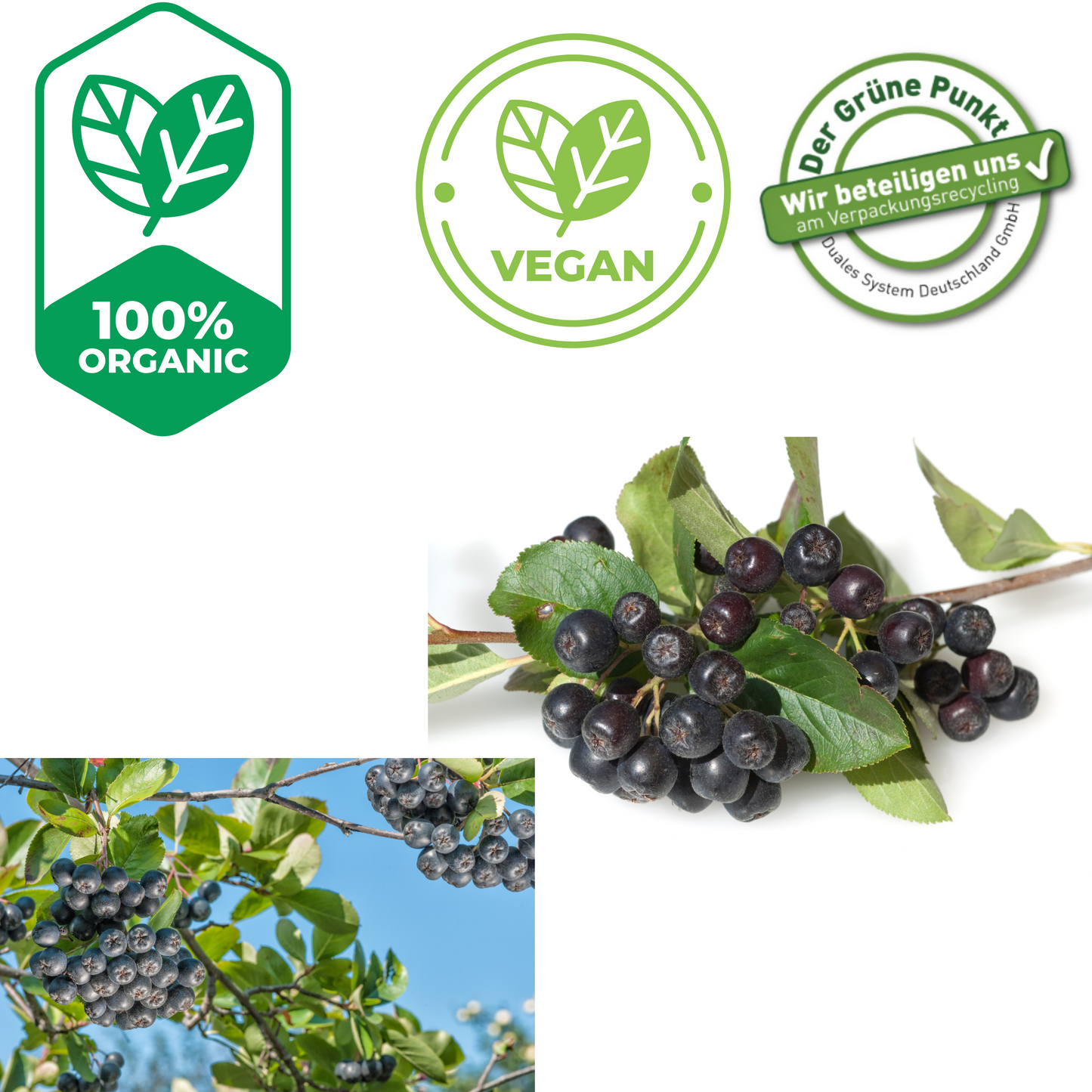 Lubs Bio & Vegan Fruchtriegel - Aronia Kirsch
