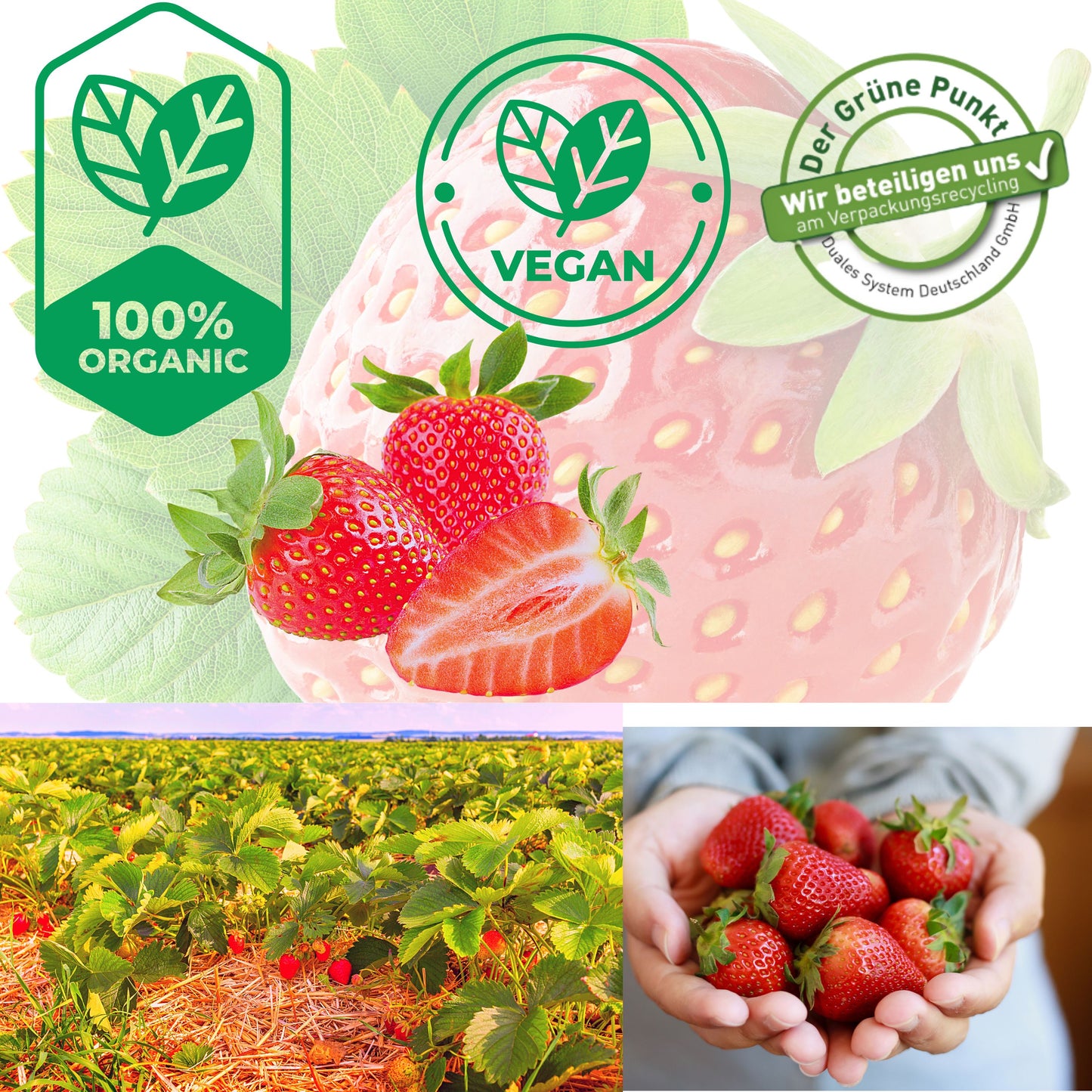Lubs Bio & Vegan Fruchtriegel Erdbeer