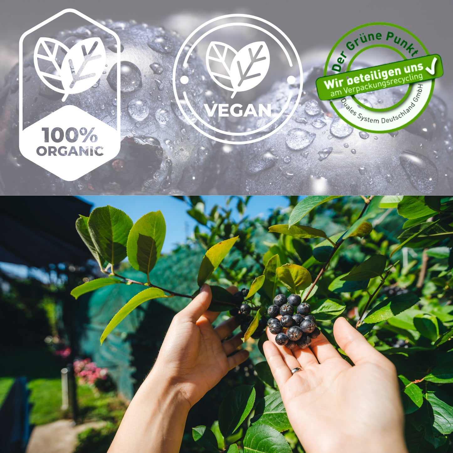 Lubs Bio & Vegan Fruchtriegel - Aronia Kirsch