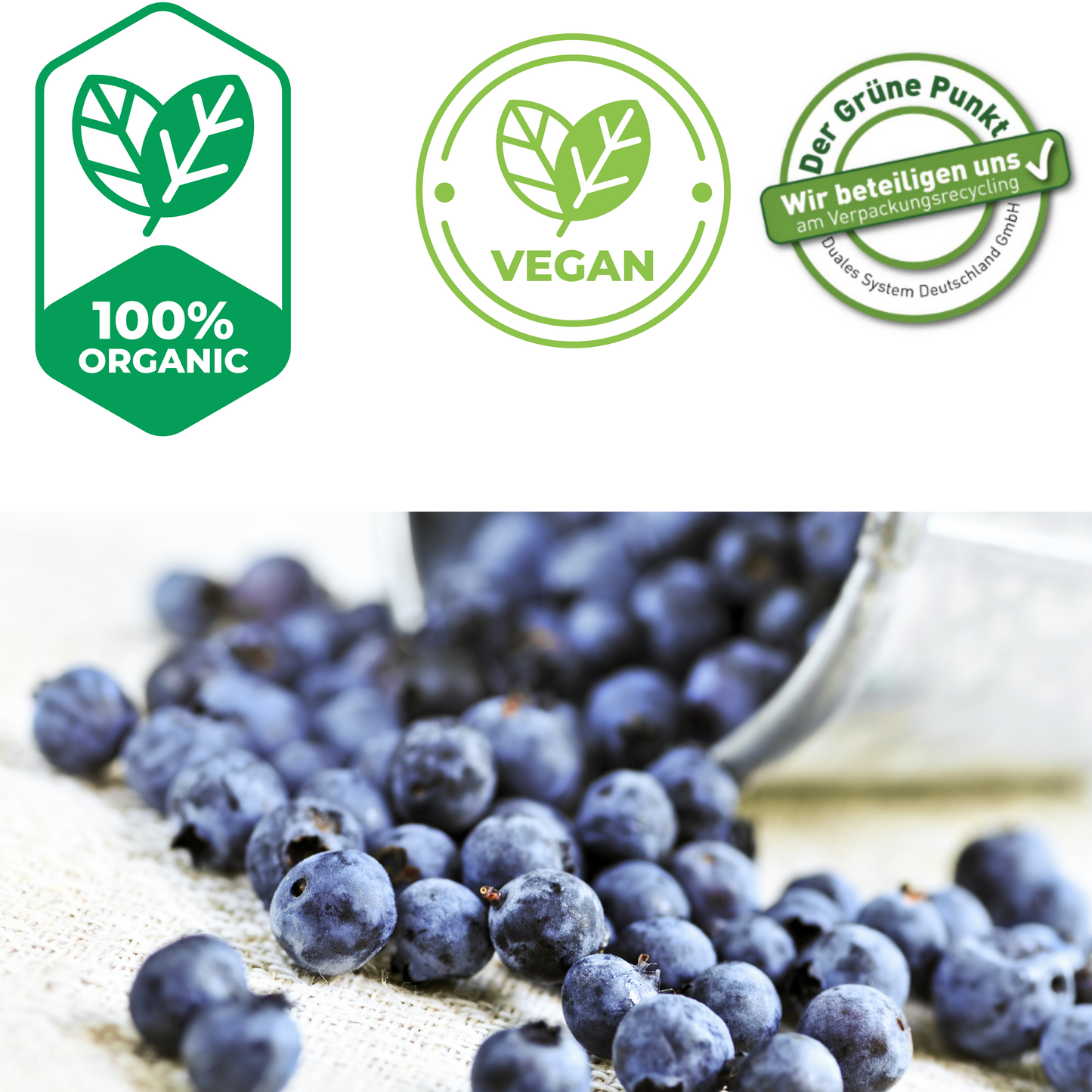 Lubs Bio&Vegan Fruchtriegel Heidelbeer