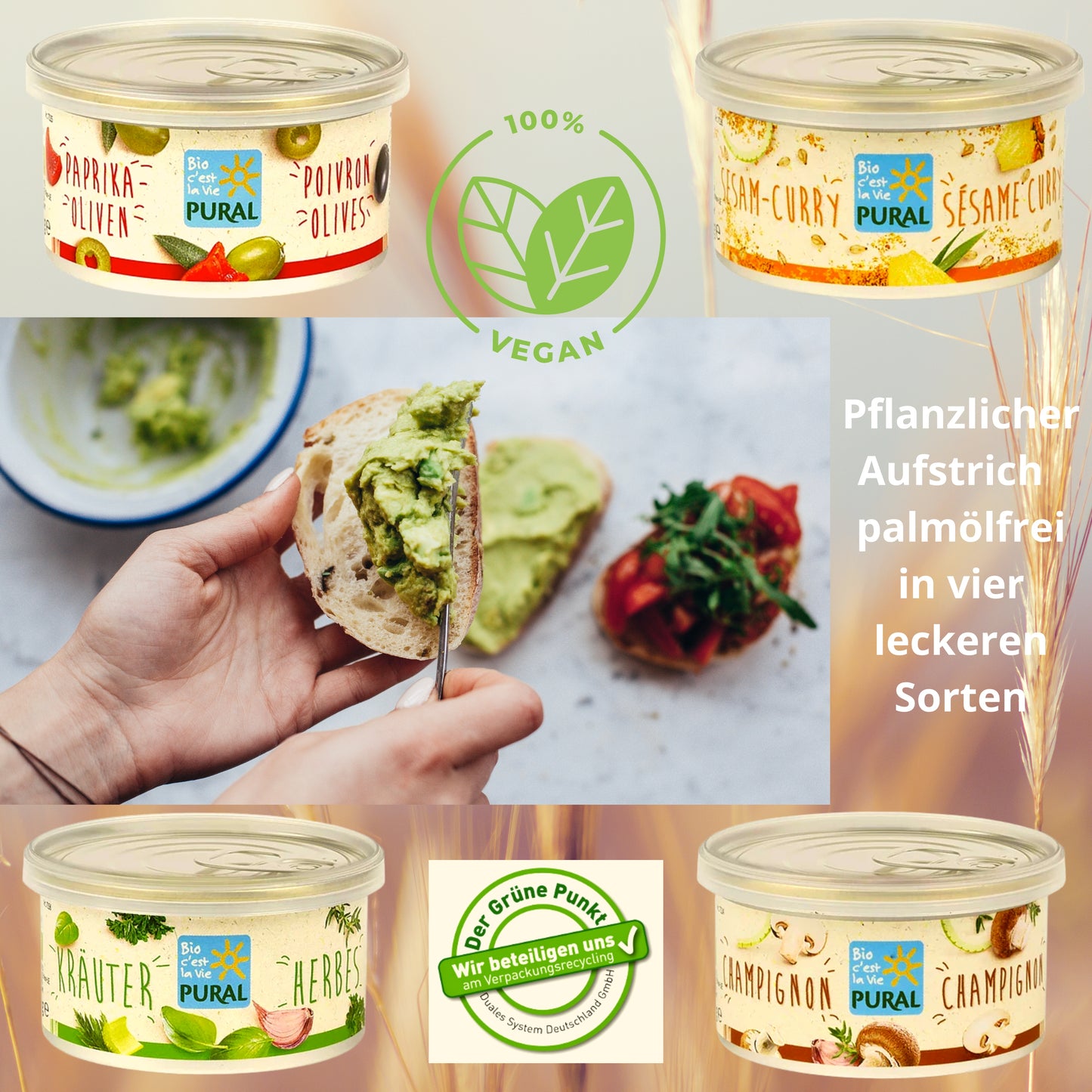 Pural Streich - Mischbox mit vier verschiedenen Sorten 4x125g