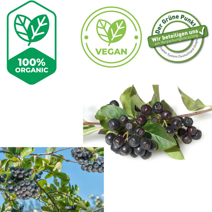 Lubs Bio & Vegan Fruchtriegel - Aronia Kirsch| Bio Riegel| Trockenfrucht Riegel| Gesunder Riegel| Lubs Riegel