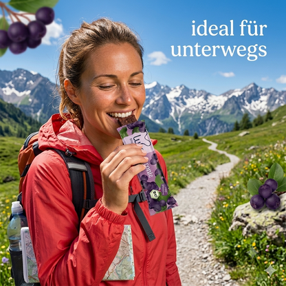 Lubs Bio & Vegan Fruchtriegel - Aronia Kirsch