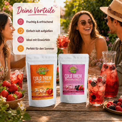 Cold Brew Probier Set 4 Sorten| Teeset 4x 100g Früchtetee Set
